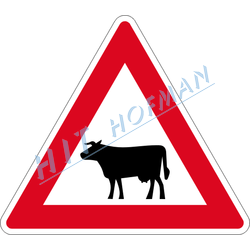 A13 - Zvířata